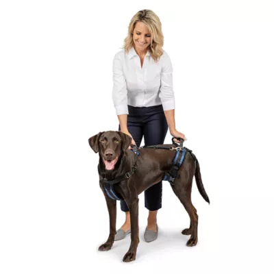 Product PetSafe® CareLift ™ Full Body Nylon Support Dog Harness