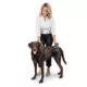Product PetSafe® CareLift ™ Full Body Nylon Support Dog Harness