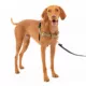 Product PetSafe® Easy Walk® Nylon Dog Harness