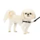 Product PetSafe® Easy Walk® Nylon Dog Harness