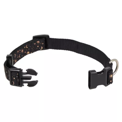 Product Top Paw® Celestial Dog Collar