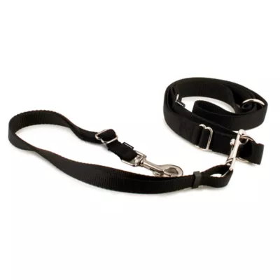 Product PetSafe® Nylon Hands-Free Dog Leash