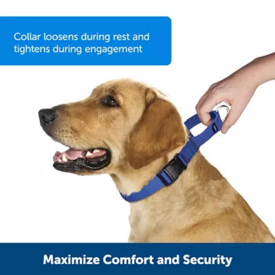 Product PetSafe® Martingale 1" Collar with Quick Snap Buckle