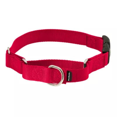 Product PetSafe® Martingale 3/8" Collar with Quick Snap Buckle
