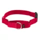 Product PetSafe® Martingale 3/8" Collar with Quick Snap Buckle