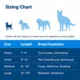 Product PetSafe® Martingale 3/8" Collar with Quick Snap Buckle