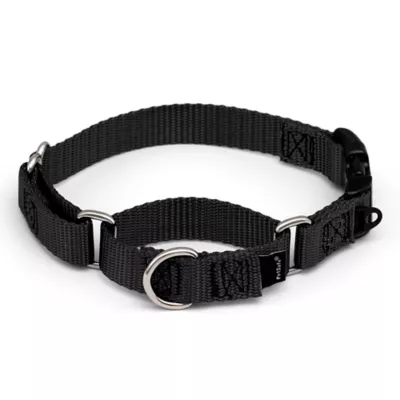 Product PetSafe® Martingale 3/4" Collar with Quick Snap Buckle