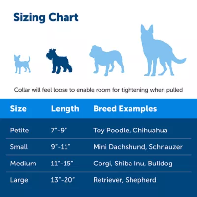 Product PetSafe® Martingale 3/4" Collar with Quick Snap Buckle