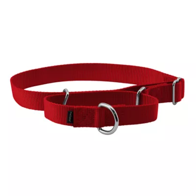 Product PetSafe® Martingale 1" Nylon Dog Collar