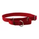 Product PetSafe® Martingale 1" Nylon Dog Collar