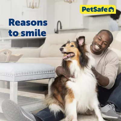 Product PetSafe® Martingale 1" Nylon Dog Collar