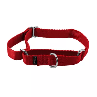 Product PetSafe® Martingale 3/4" Nylon Dog Collar