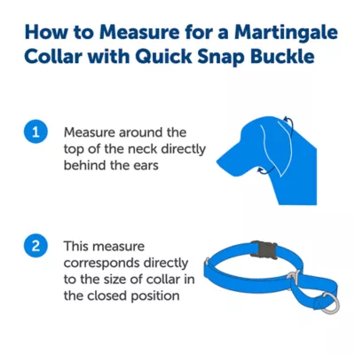 Product PetSafe® Martingale 3/4" Nylon Dog Collar
