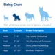 Product PetSafe® Martingale 3/4" Nylon Dog Collar