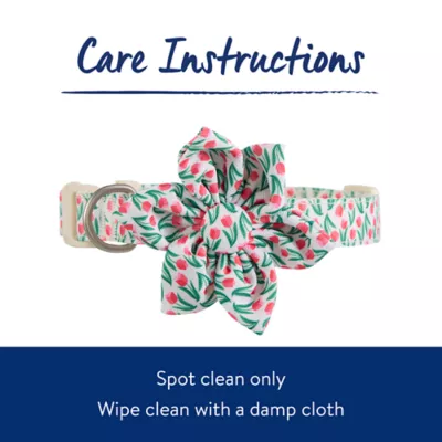 Product Top Paw® Rosebud Dog Collar with Bow