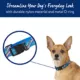 Product Top Paw® Retro Striped Dog Collar
