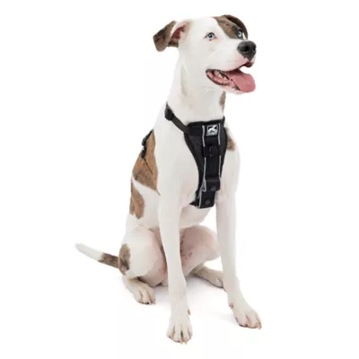Product Kurgo® Tru-Fit Dog Harness