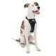 Product Kurgo® Tru-Fit Dog Harness