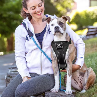 Product Kurgo® Tru-Fit Dog Harness