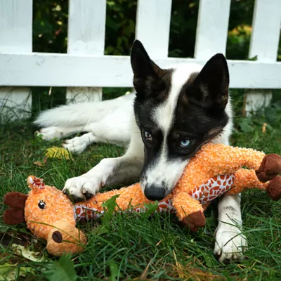 Product KONG®, KONG Shakers™, Shakers™ Luvs Giraffe
