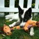 Product KONG®, KONG Shakers™, Shakers™ Luvs Giraffe