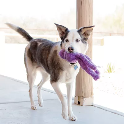 Product KONG®, KONG Wubba, KONG Snugga Wubba Assorted Lg