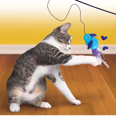 Product KONG®, KONG Teaser Feather Assorted Cat Toy