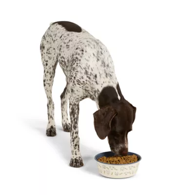 Product Top Paw® Novelty Dog Faces Stainless Steel Dog Bowl