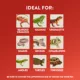 Product Thrive™ Crocodile Terrarium Décor