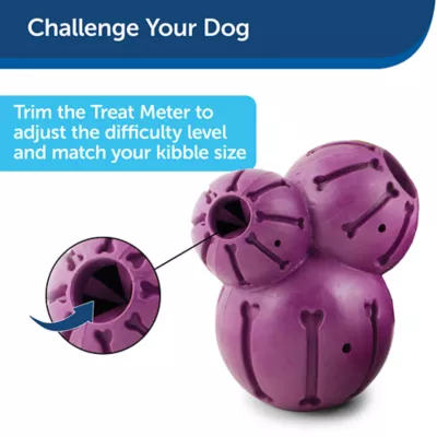 PetSafe® Busy Buddy Barnacle Treat Dispensing Dog Toy
