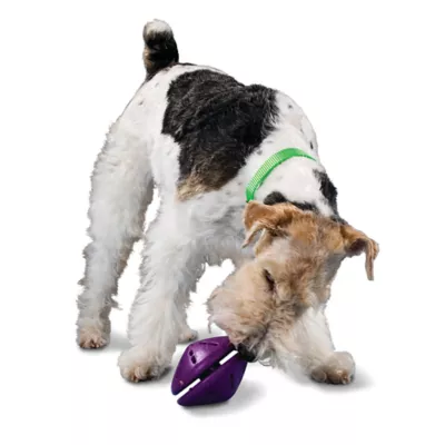 Product PetSafe® Twist N Treat Dog Toy