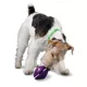Product PetSafe® Twist N Treat Dog Toy