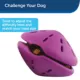 Product PetSafe® Twist N Treat Dog Toy