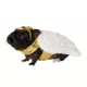 Product Thrills & Chills® Angel Small Pet Costume