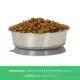 Product Top Paw® Stainless Steel Suction Base Dog Bowl