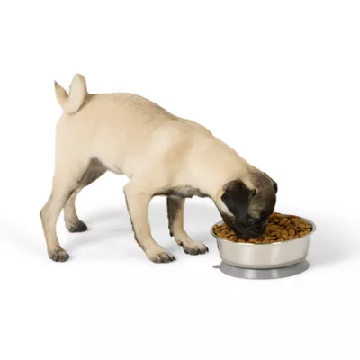 Product Top Paw® Stainless Steel Suction Base Dog Bowl