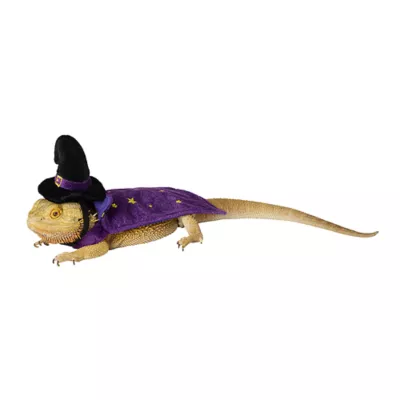 Product Thrills & Chills® Wizard Reptile Costume