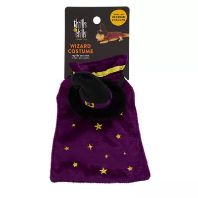 Product Thrills & Chills® Wizard Reptile Costume