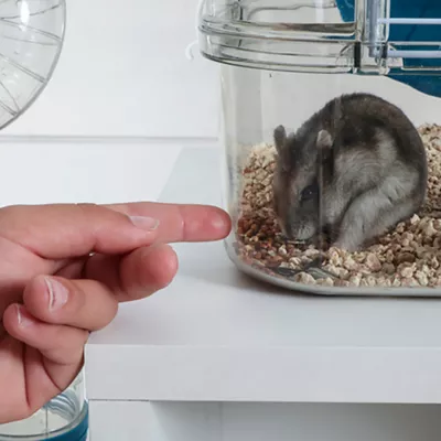 Product Rody.3 Duo 2-Story Small Animal Habitat, Grenadine