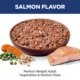 Product Hill's Science Diet Perfect Weight Adult Wet Dog Food Topper - Vegetables & Salmon, 2.8 oz