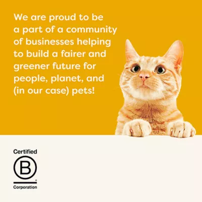 Product Applaws Cat - Kitten, Broth, Chicken, 1.76 OZ