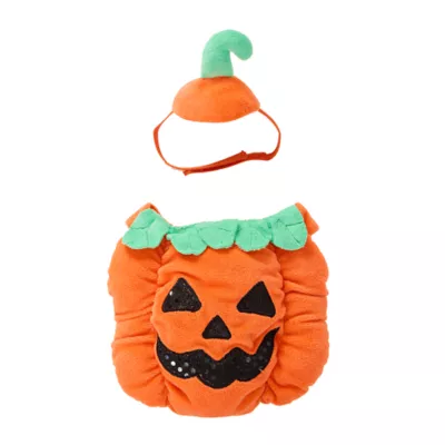 Product Thrills & Chills® Pumpkin Small Pet Costume