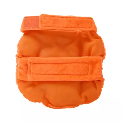 Product Thrills & Chills® Pumpkin Small Pet Costume