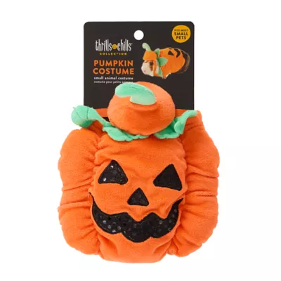 Product Thrills & Chills® Pumpkin Small Pet Costume