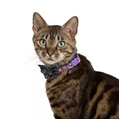 Product Thrills & Chills® Bat Cat Collar