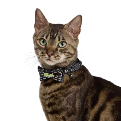 Product Thrills & Chills® Fish and Bones Cat Collar