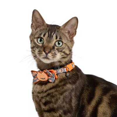 Product Thrills & Chills® Pumpkin Bow Cat Collar
