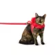 Product Thrills & Chills® Devil Cat Leash and Harness Set