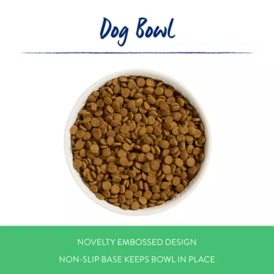 Product Top Paw® Embossed Bone Dog Bowl