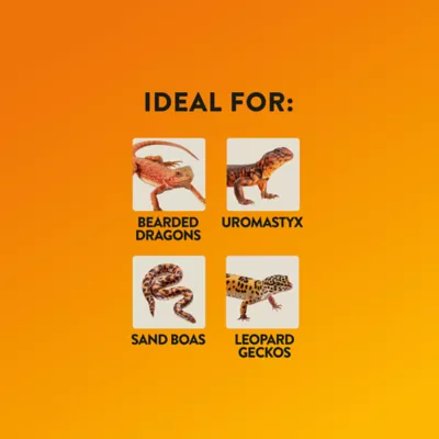 Product Thrive™ Desert Cholla Decorating Kit